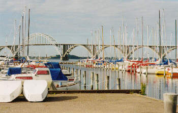Kalvehave